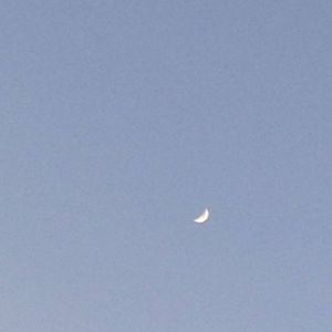 Meet your Posher, Carissa